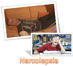 Narcolepsia